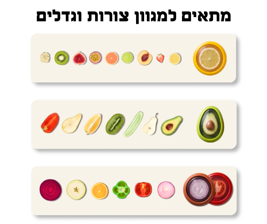 הסט המקצועי לשמירה על טריות ירקות ופירות